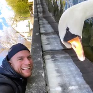 Nach Skandal: Hier kuschelt Bachelor Basti mit einem Schwan!