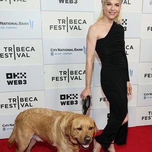 Selma Blair bringt ihren Assistenzhund mit auf Red Carpet!
