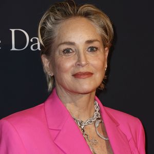 Wegen "Basic Instinct": Sharon Stone verlor das Sorgerecht