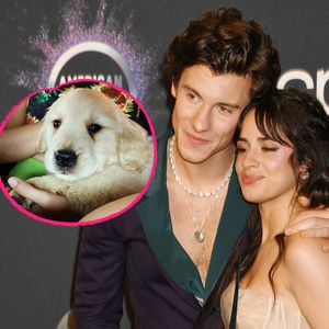 So süß ist Shawn Mendes und Camila Cabellos neuer Welpe!