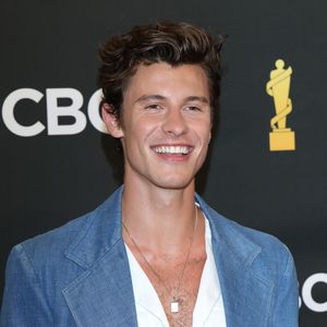 Nach Gerüchten: Shawn Mendes mit Jocelyne bei Grammy-Party