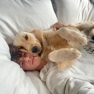 Camila-Trennung: Shawn Mendes vermisst vor allem den Hund