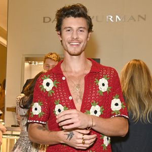 Heißer Anblick: Hier zeigt sich Shawn Mendes oberkörperfrei