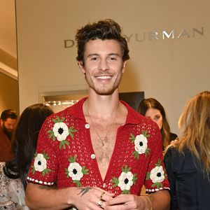 Neue und alte Flammen: Shawn Mendes' turbulentes Liebesleben