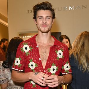 Shawn Mendes begeistert Fans in Buenos Aires im Tanktop
