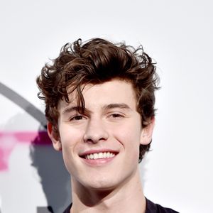 Mitten auf die Flosse: Shawn Mendes hat neues Hand-Tattoo!