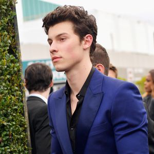 Shawn Mendes entschuldigt sich für beleidigende Tweets