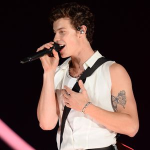 Fans rätseln: Versteckt Shawn Mendes Botschaft in Tattoo?