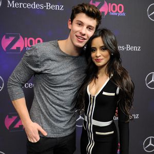 Shawn Mendes und Camila Cabello: Einbrecher wurde gefasst!