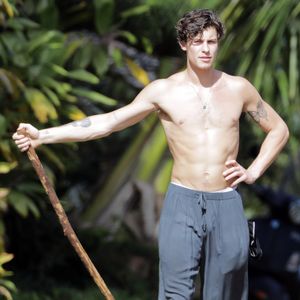 Beim Wandern: Shawn Mendes zeigt seinen stählernen Körper