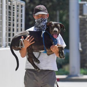 Welcher US-Schauspieler trägt hier seinen Hund auf dem Arm?