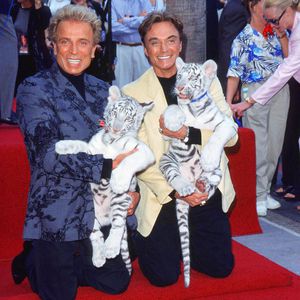 Geldnot: Film über Siegfried und Roy steht kurz vor dem Aus