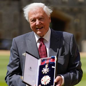 David Attenborough bei seltenem Auftritt vor 100. Geburtstag