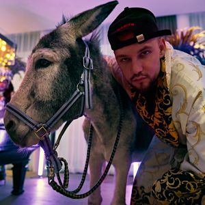 Alles vollgekackt: Slavik Junge schleppt Esel in Hotelsuite!