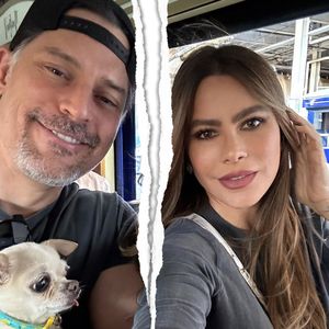 Nach sieben Jahren Ehe: Sofia Vergara lässt sich scheiden