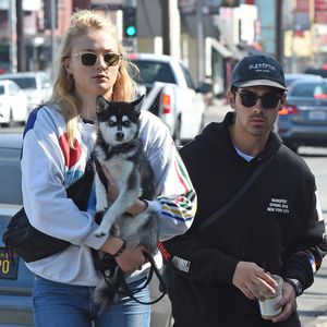 Mit Hund im Frack: So schön war Sophie & Joe Jonas' Hochzeit