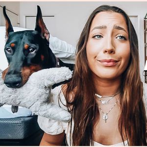 Riesen-Shitstorm: YouTube-Beauty schlägt ihren Hundewelpen