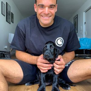 Nach Trennung: Stefano Zarrella vermisst seinen Hund Baloo