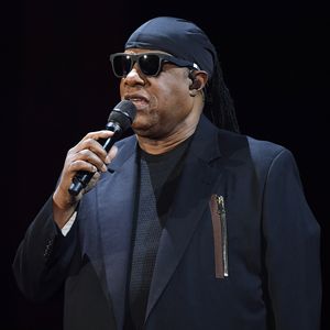 Stevie Wonder sammelt Geld für Opfer der Waldbrände in L.A.