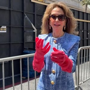 Soap-Star Susan Lucci putzt ihren Walk-of-Fame-Stern selber