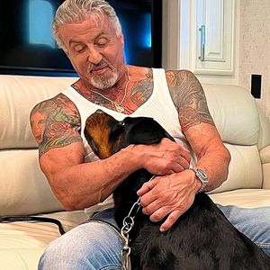 Sylvester Stallones Ehe-Aus: Ist Hund Schuld an Trennung?
