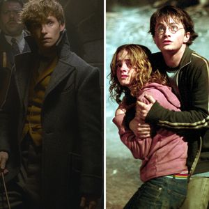 "Phantastische Tierwesen" & "Harry Potter" im Netflix-Januar
