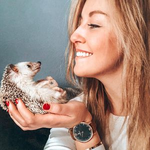 Traurige Neuigkeit: Insta-Star und Igel Mr. Pokee ist tot!