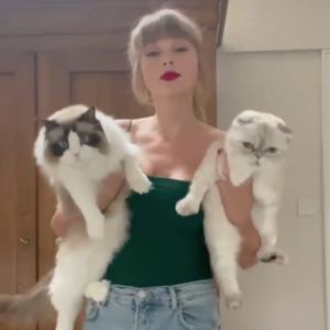 Mit ihren Katzen: Taylor Swift veröffentlicht neues TikTok