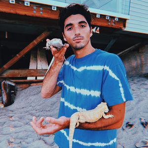Neuer "Kissing Booth"-Star: Wer ist Taylor Zakhar Perez?