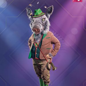 "The Masked Singer Austria": Er steckte im Wildschweinkostüm