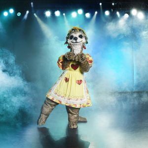 Überraschung: Erstes Pärchen-Kostüm bei "The Masked Singer"!