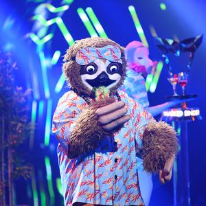 "Masked Singer"-Gewinner: Er steckte in dem Faultier-Kostüm