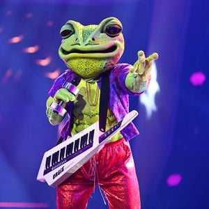 Tatsächlich! Wigald Boning ist "The Masked Singer"-Frosch