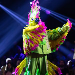 "The Masked Singer"-Aus: Dieser Promi war der Kakadu!