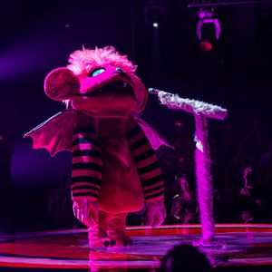 "The Masked Singer": Die Indizien für die Promi-Identitäten