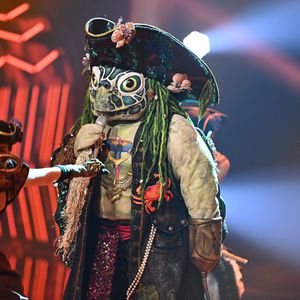 "The Masked Singer"-Fans: Schildkröte ist Thomas Anders