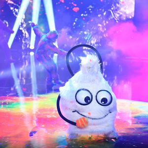 Er ist es wirklich: Das ist der "Masked Singer"-Wuschel!
