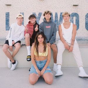 TikTok-Stars vor dem Aus: Wird die App in den USA verboten?