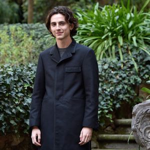 "Call Me By Your Name"-Sequel mit Timothée Chalamet geplant
