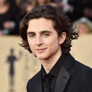 "Sozialer Kollaps": Timothée Chalamet hasst Social Media