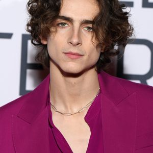 Depp-Nachfolger: Timothée Chalamet wird neuer Willy Wonka