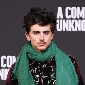 Timothée Chalamets Gitarrenspiel in Biopic wird kritisiert