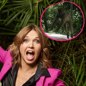 Tina Ruland wurde im Dschungel-Hotel von Affen überfallen