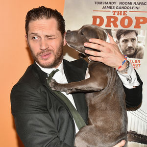 Böse Zwillinge: Tom Hardy fasziniert in einer Doppel-Rolle