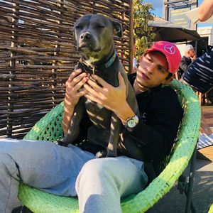 Tom Holland kaufte gemeinsamen Hund ohne Zendayas Wissen