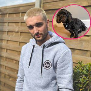 Nach Unfall: Tom Parkers Hund musste Bein amputiert werden