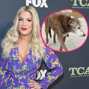 "Nahtoderfahrung": Tori Spellings Hund wäre fast gestorben