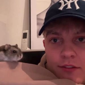 "Freund verloren": Twenty4tim trauert um seinen Hamster Taco