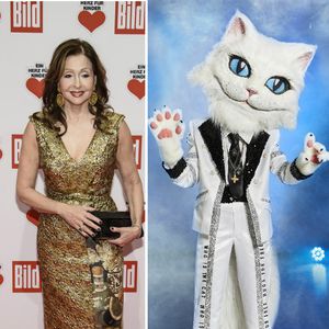 "The Masked Singer"-Katze: Passen Tipps zu Vicky Leandros?