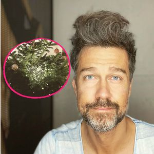 Kein perfekter Baum: Carpendales verzweifeln an Lichterkette
